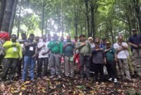 15 Pekebun Teluk Bintuni lakukan Kunjungan ke penangkaran pala Prima Karya, langkah strategis untuk membangun kapasitas pekebun lokal.