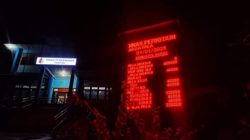 Harga Pala Awal tahun 2025 masih terpantau stabil