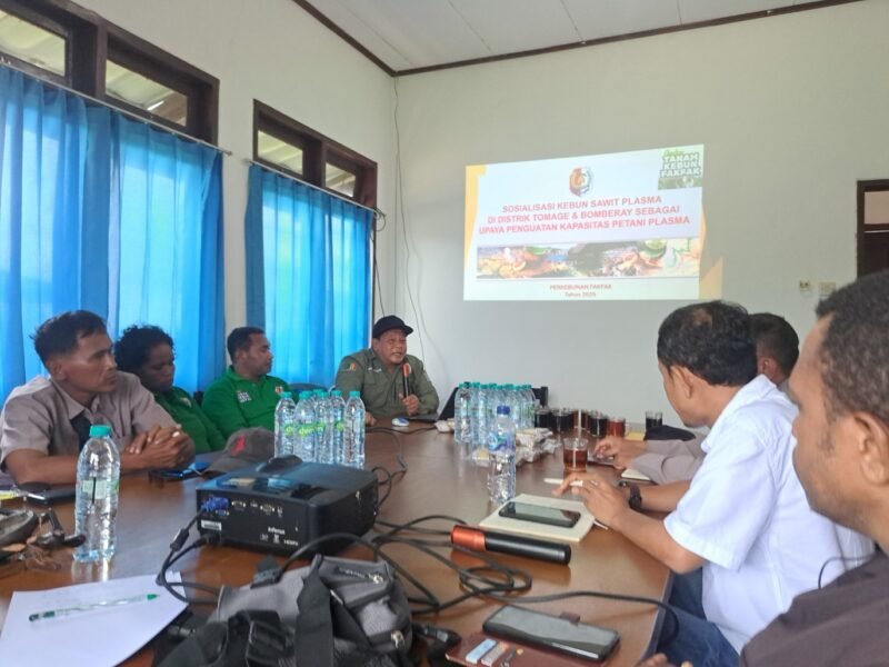 Untuk meningkatkan kapasitas petani dinas perkebunan Fakfak bersama PT. Rimbun Sawit Papua merencanakan program pelatihan pada tahun 2025.