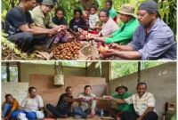 Plt. Kepala Dinas Perkebunan Fakfak Widhi Asmoro Jati bersama keluarga Hombore melaksanakan prosesi adat Meri totora sebelum dilakukan panen pala, sebagai ritual penghormatan kepada Pala Tomandin.