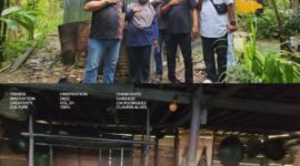 Foto. Plt Kepala Dinas Perkebunan Fakfak Widhi Asmoro Jati, ST., MT. Melalui Dinas Perkebunan Fakfak Pemerintah Daerah merealisasikan program pemeliharaan rumah pengasaran pala yang tersebar di sejumlah kampung.
