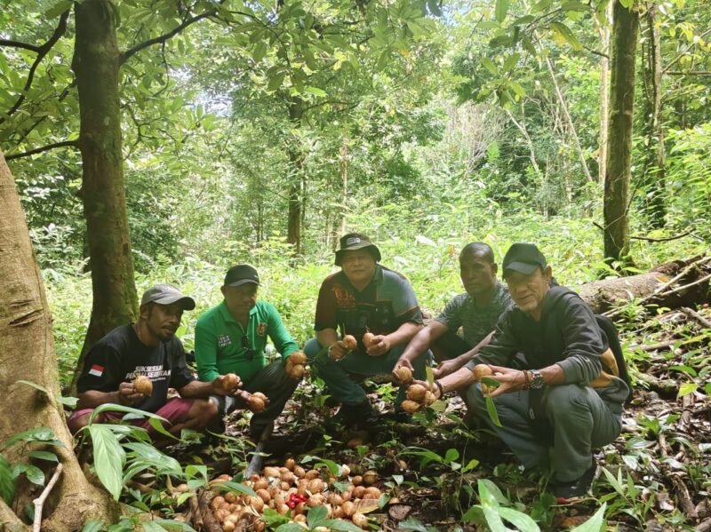 Foto. Plt. Kepala Dinas Perkebunan Fakfak Widhi Asmoro Jati, ST., MT., bersama Kelompok Keluarga Samai di Kampung Sekru Tuare saat panen pala bersama dilakukan di lahan seluas 4 hektare. 