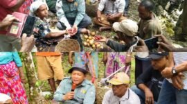 Foto. Tradisi sakral buka sasi adat Kerakera kembali digelar masyarakat Teluk Ganasoba di Kampung Werfra, Distrik Furwagi.