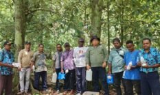 Pemkab Fakfak Benahi BPT–PIT Pala Tomandin sebagai Fondasi Program Strategis Pala Unggul dan Perlindungan Indikasi Geografis