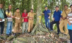 Sinergi Penguatan BPT Pala Tomandin Perkokoh Benih Unggul dan Hilirisasi Pala di Kabupaten Fakfak