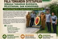 Keputusan Bupati Fakfak Nomor 500.8–25 Tahun 2026 tentang Penetapan Pala Tomandin sebagai Tanaman Budidaya, Pelestarian, dan Konservasi.